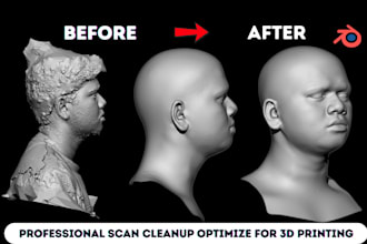 optimize 3d scan cleanup mesh repair 3d head bust stl watertight for 3d printing