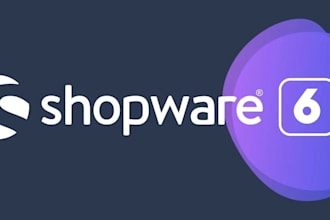 build and optimize your shopware 6 online store
