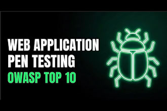 perform web app penetration testing with full report