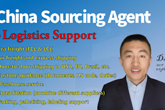 provide china logistics support for global shipping