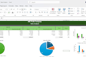 do accounting and finance excel based analysis