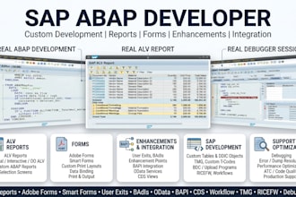 develop custome sap abap alv forms bapi odata cds workflows and enhancements