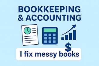 provide professional accounting and bookkeeping services