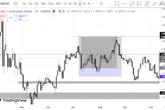 teach you swing trading and give you trades
