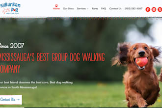 pet care website dog training pet website dog walking dog walking website