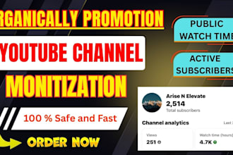 promote youtube channel organically for monitization
