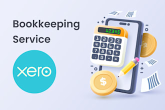 set up, clean and reconcile your xero accounts