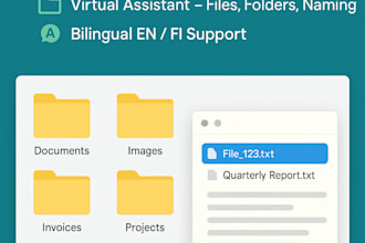 files, folders and data organization