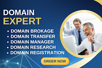 domain name expert, sell domain, buy domain, domain broker, domain name research