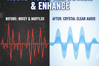 remove background noise and master audio for your project