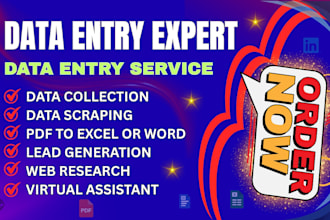 be your professional data entry, web research, virtual asist