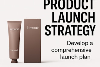 build your product launch strategy and preorder funnel