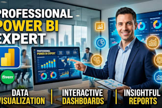 professional power bi expert