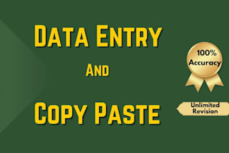 do professional data entry and copy paste work