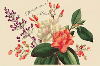 draw botanical illustration of flower illustration, plant illustration, and logo