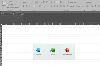 data entry excel task