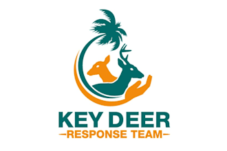 design a meaningful and professional nonprofit logo