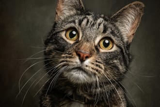 paint stunning pet portrait