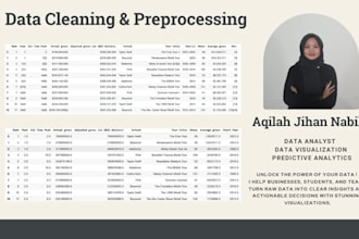 clean, format, and preprocess your dataset professionally