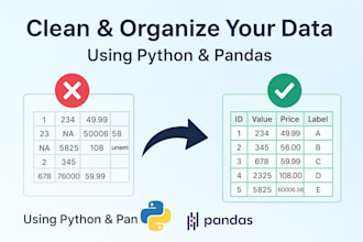 clean, organize, and convert your data using python CSV, excel, PDF