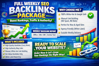 provide professional monthly SEO services