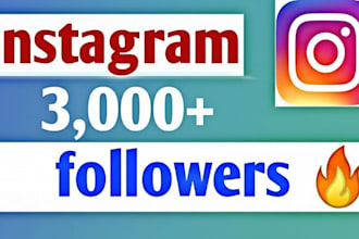 3000 instagram followers as your need