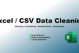 perform a professional cleanup of your excel or CSV file
