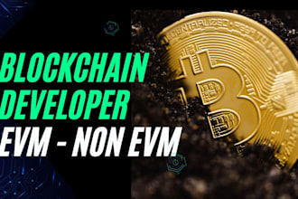 be your blockchain developer