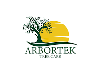 do modern tree logo design