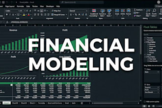 an investor ready financial model and valuation