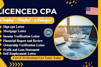 issue a professional cpa letter profit loss statement notary verification