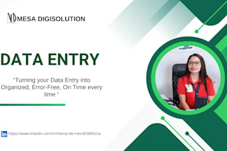 be your virtual assistant for data entry and office support