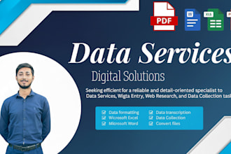 do data entry, copy paste, data scraping, email, pdf to excel data entry