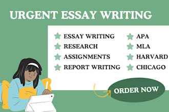 write essay, assignment, project work, report writing for college and university