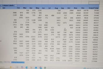 do data entry,excel data, cleaning, formatting,