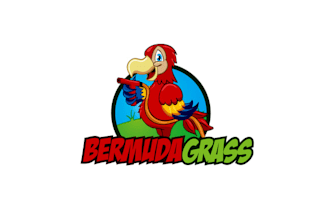 design modern colorful logo for tropical grass business