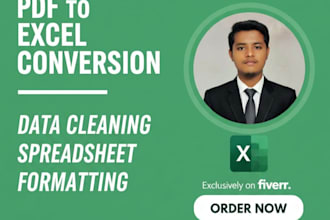 convert PDF to excel, clean data and format spreadsheet
