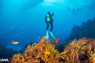 help you with oceanography, oceanography lab guidance and assignments