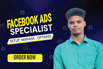 setup facebook ads campaign, fb ads, instagram ads, and meta ads management