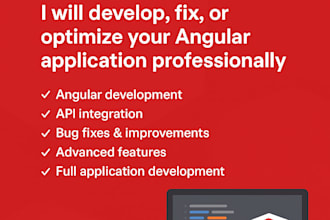 develop, fix, or optimize your angular application professionally