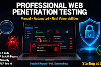 do professional web penetration testing