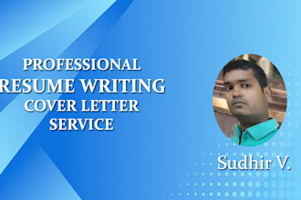 provide professional resume, cv writing service