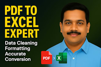 convert PDF to excel and clean data professionally