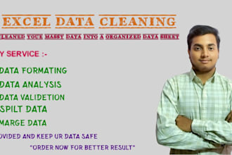 clean, format, spilt, excel data for you