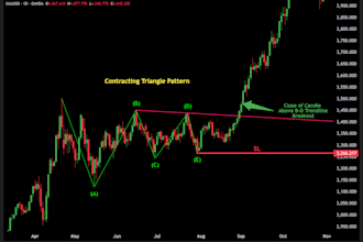 teach you how to apply elliott wave in real trading