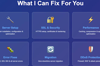 do professional web server configuration and fix services