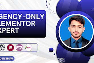 build a high converting services wordpress  elementor website for your business