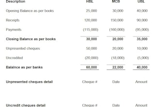 prepare accurate bank reconciliation reports