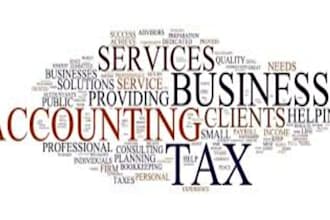 offer complete indian and US tax gst and company compliance services