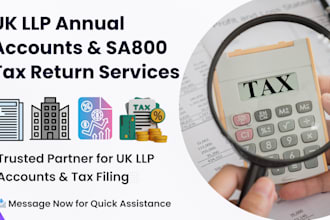 expert UK llp annual accounts and sa800 tax return